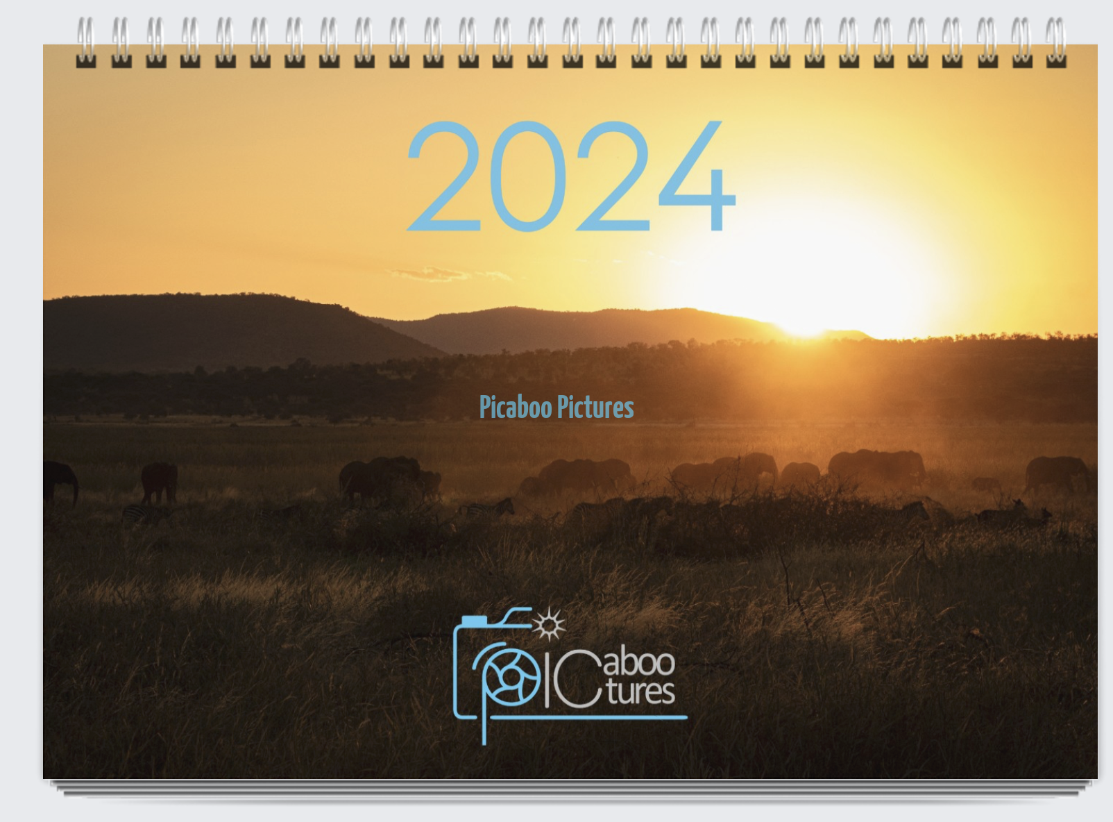 Picaboo Pictures » 2024 Calendars