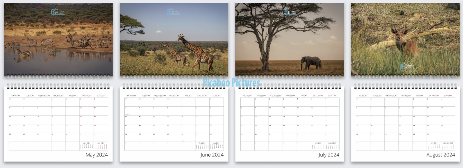 Picaboo Pictures » 2024 Calendars