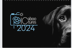 DOG-2024-CALENDAR_1
