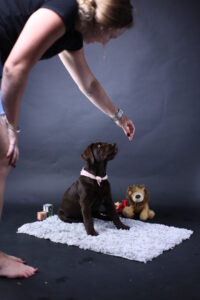 Behind the scenes of the shoot with an 9week old puppy